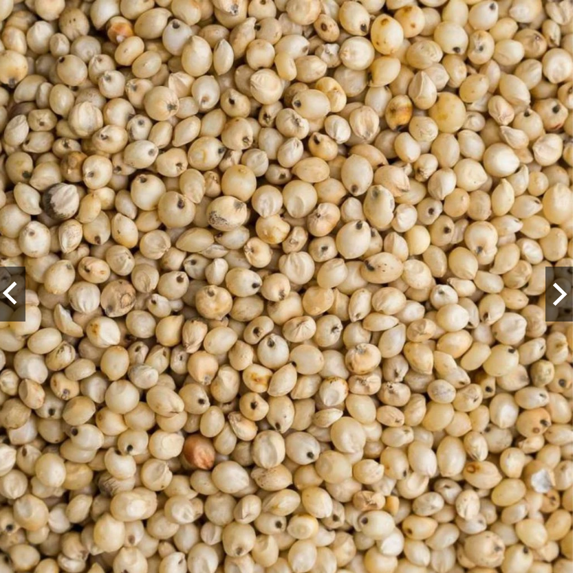 Fasilitas Produksi Modern